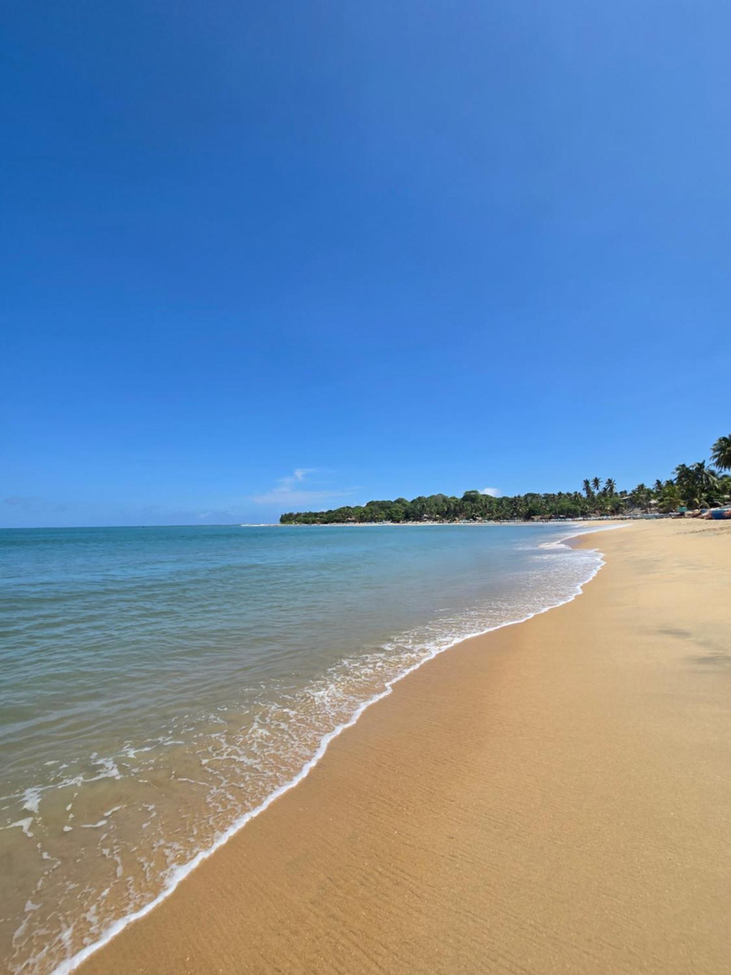 Surf N Sun - Arugam Bay Hotel Exterior photo