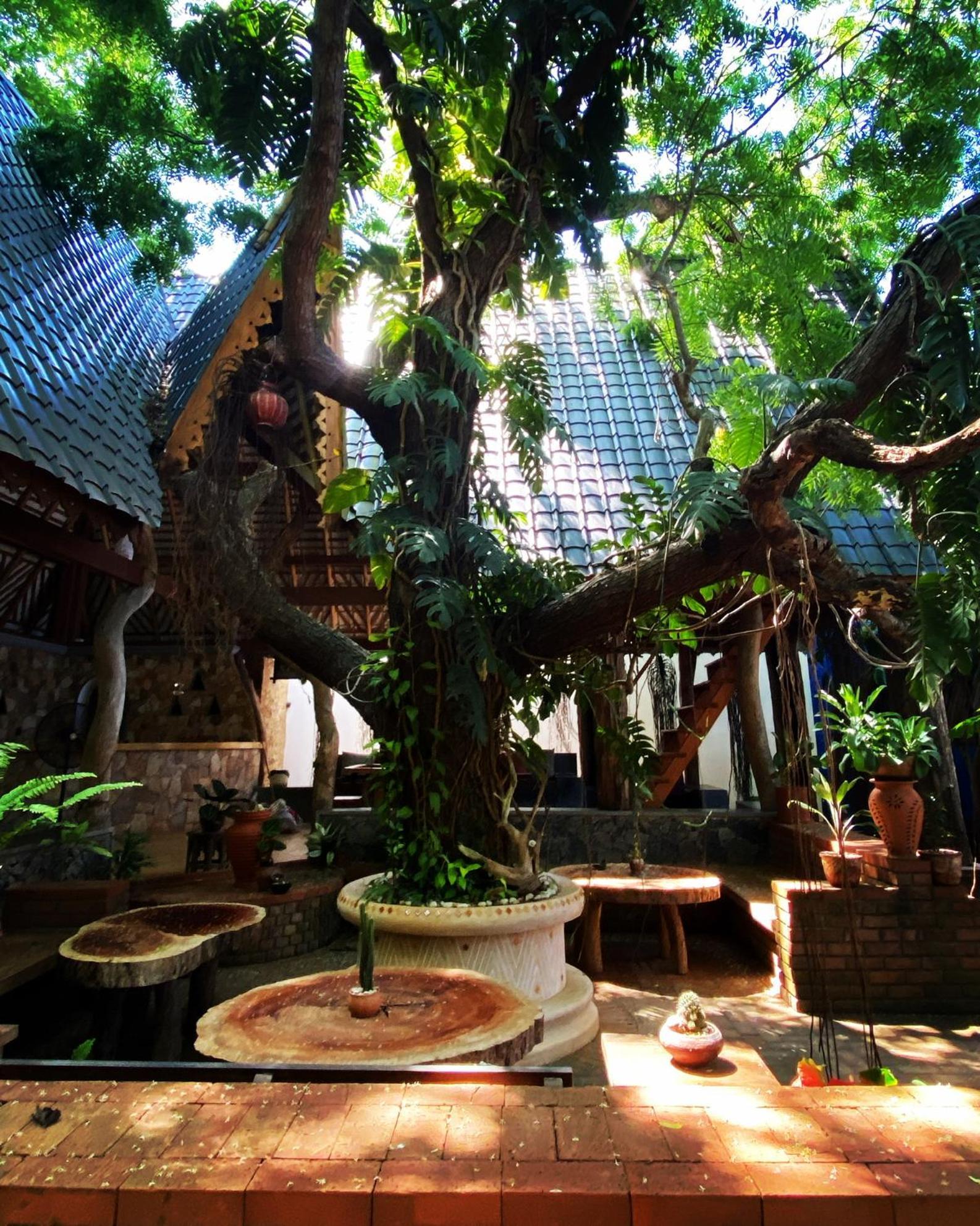 Surf N Sun - Arugam Bay Hotel Exterior photo