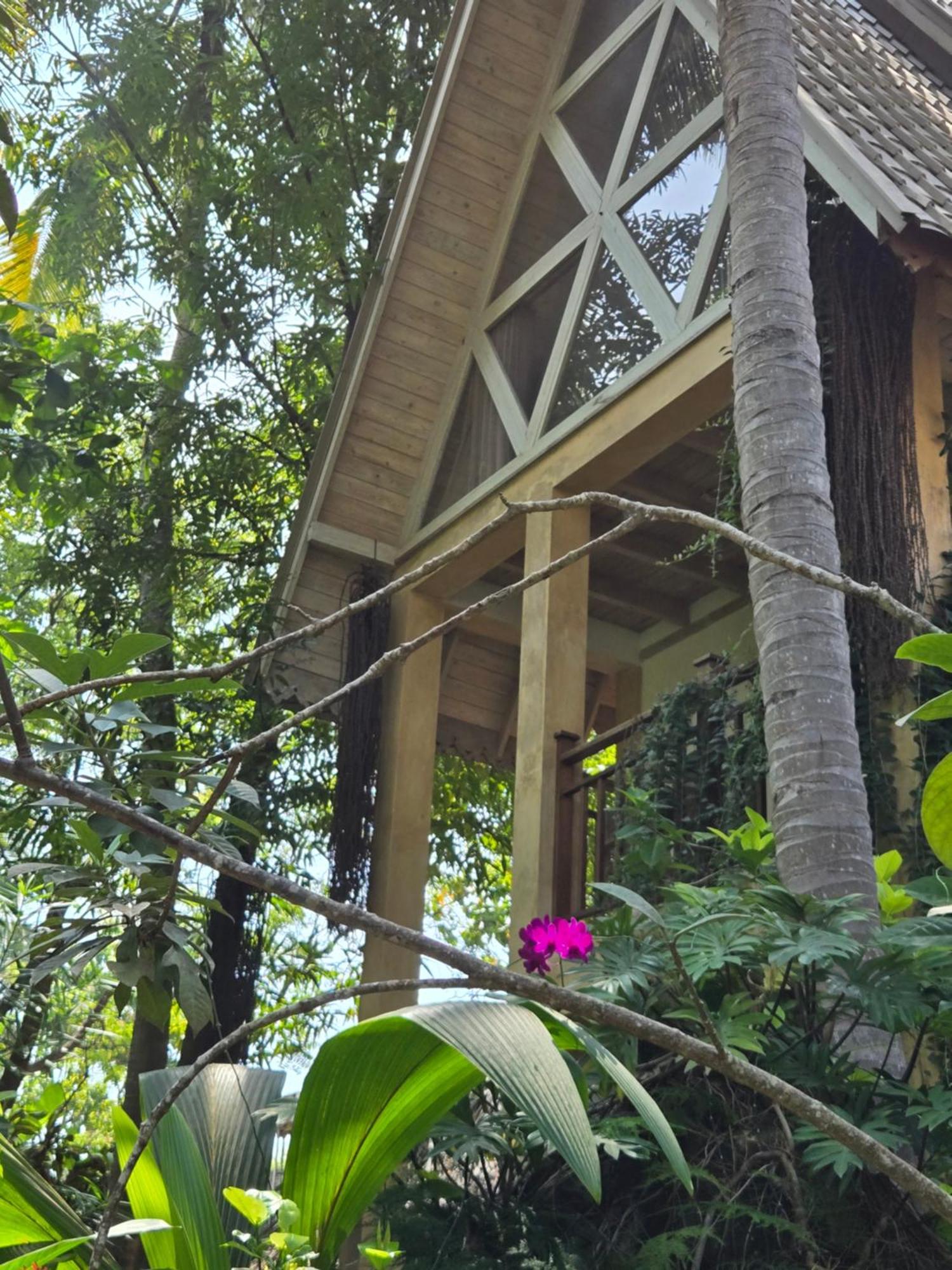 Surf N Sun - Arugam Bay Hotel Room photo